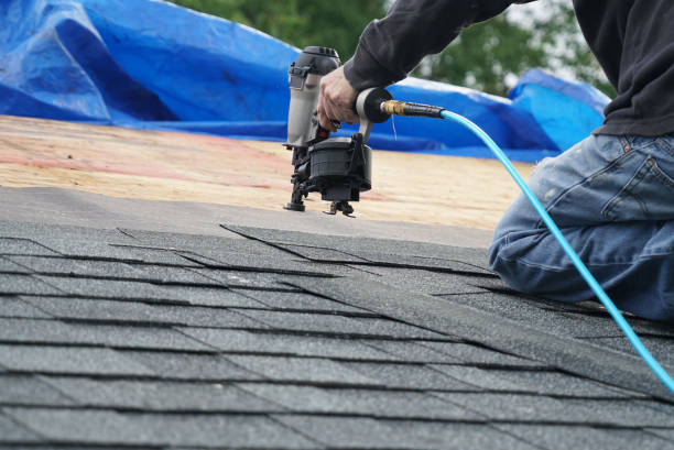 Best Storm Damage Roof Repair  in Gladewater, TX